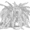:: Grafik ::